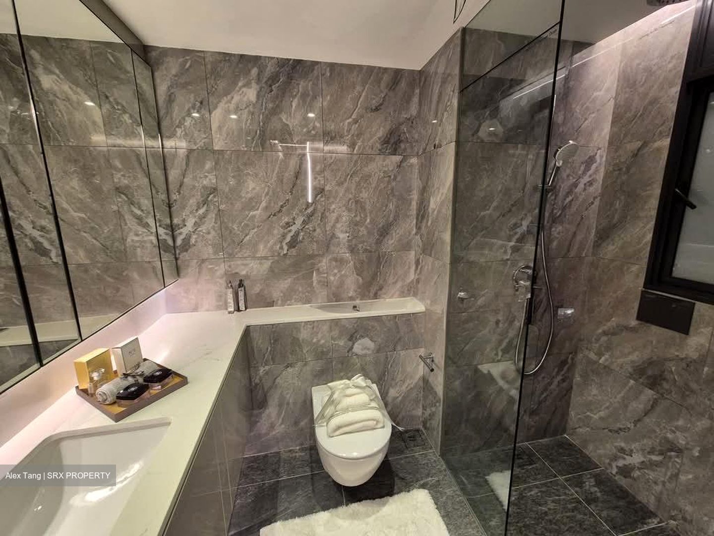 Sophia Road (D9), Condominium #593012581